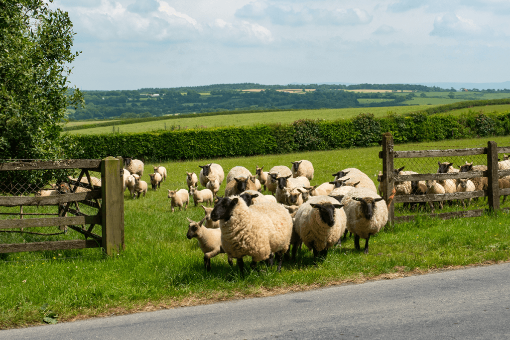 Broadband Deals in South Yorkshire | Full Fibre Broadband | Quickline
